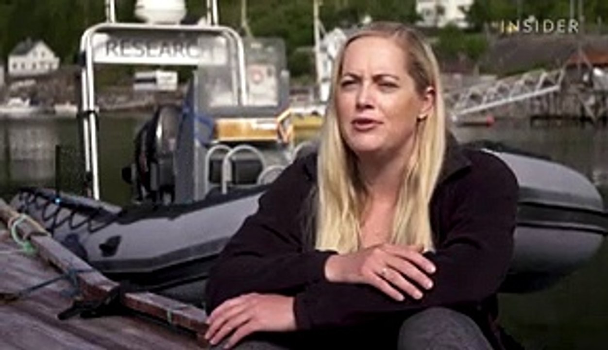 Orcas are under threat from man-made noise pollution. These scientists are fighting to protect them.