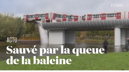 Un métro sauvé d'une chute par une sculpture de baleine aux Pays-Bas