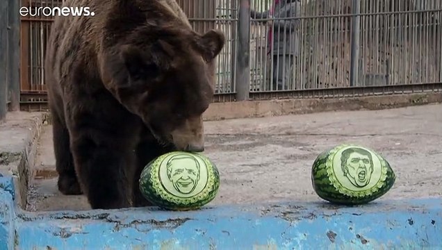 Русский медведь — за Байдена