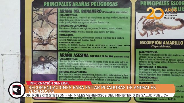 Recomendaciones para evitar picaduras de animales venenosos