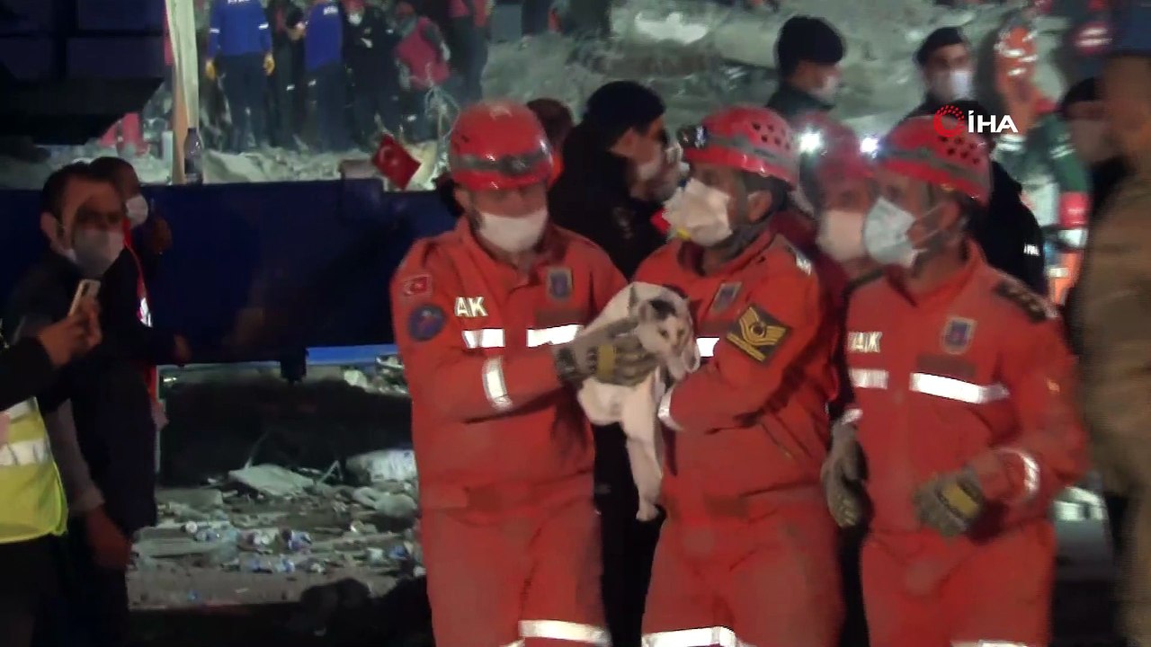 Jandarma Arama Kurtarma ekipleri, Rıza Bey Apartmanı'ndan bir kediyi canlı olarak çıkardı