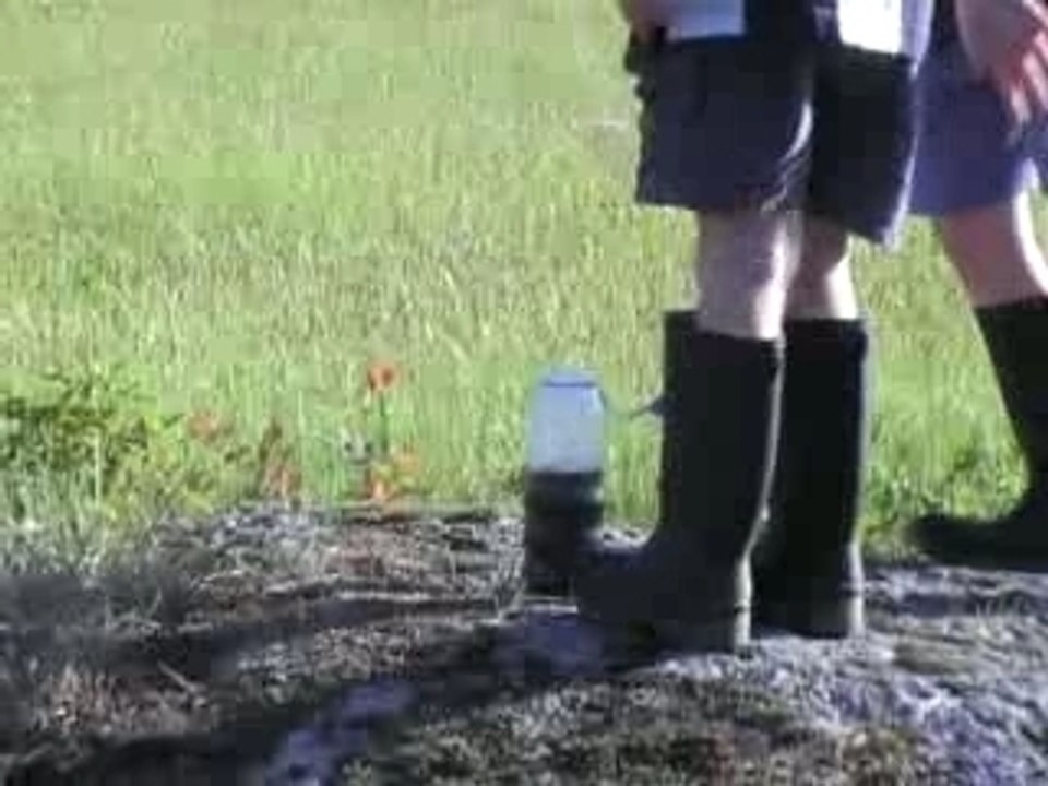 petite experience