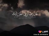 حالات واتس اب قران كريم. اجمل صوت قران كريم يريح القلوب(360P)_1