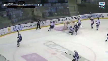 Il célèbre un but en hockey en cassant la vitre