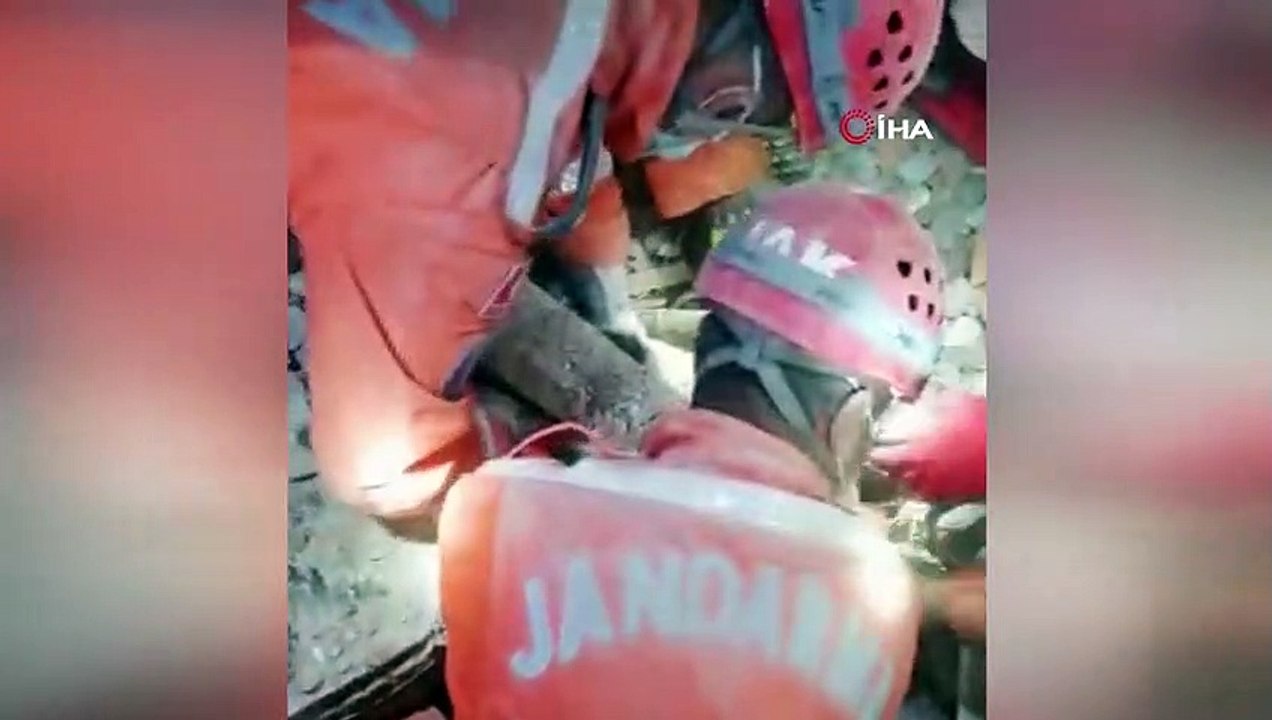 Jandarma Arama Kurtarma ekipleri, Rıza Bey Apartmanı'ndan bir kediyi canlı olarak çıkardı