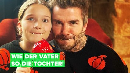 Happy Halloween, David Beckham & Harper!