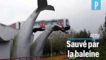 Pays-Bas : un métro sauvé par une sculpture de baleine