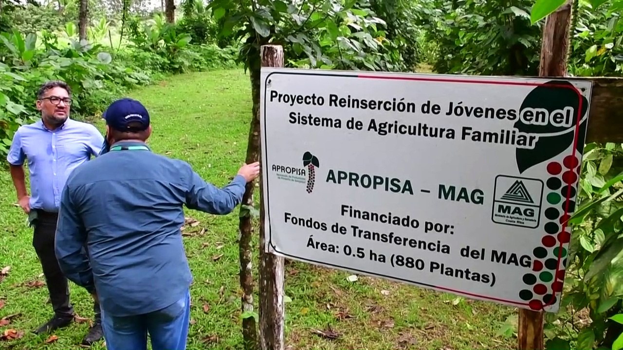 Viagem verde