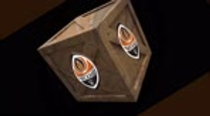 Shakhtar Donetsk - Champions League surprise package