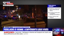 Fusillades à Vienne: six différents lieux visés, au moins deux morts dont l'un des assaillants