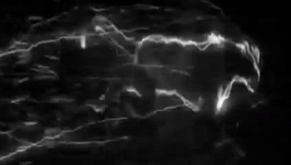 the lockdown || funny video 2020 || best new funny video || interesting entertainment || animated comedy video