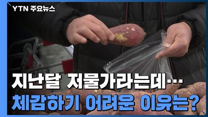지난달 저물가라는데...장바구니 물가·집세는 급등 / YTN