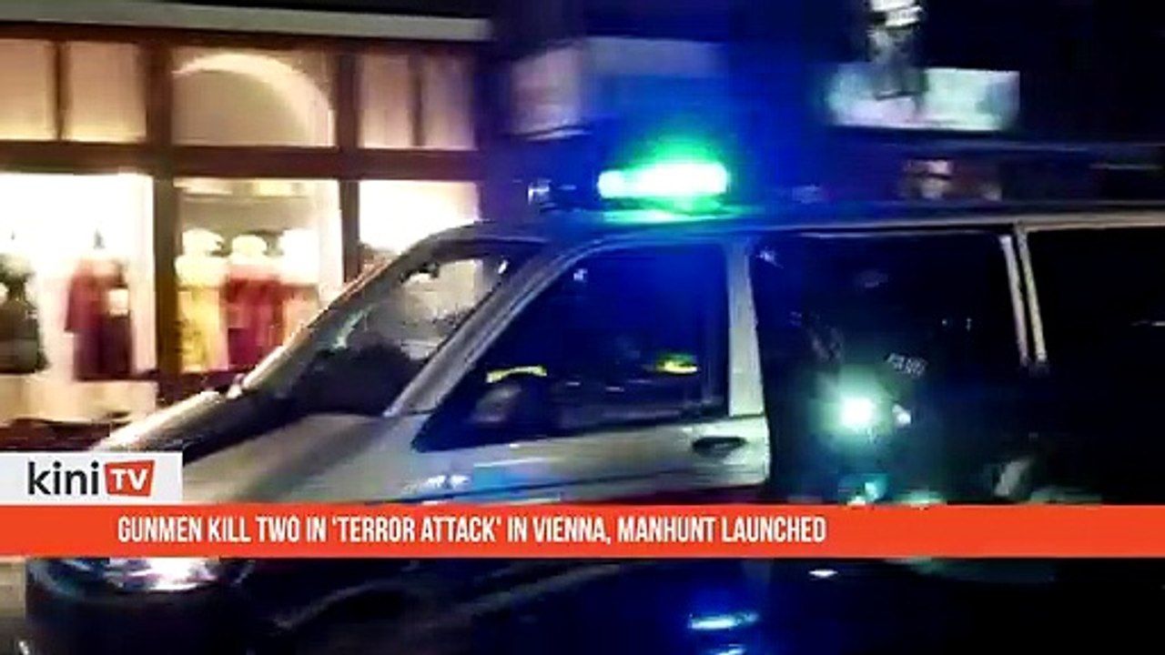 Gunmen kill two in 'terror attack' in Vienna, manhunt launched