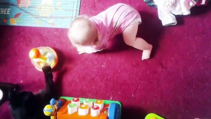 Baby and Cat Fun and Cute - Funny Baby Video