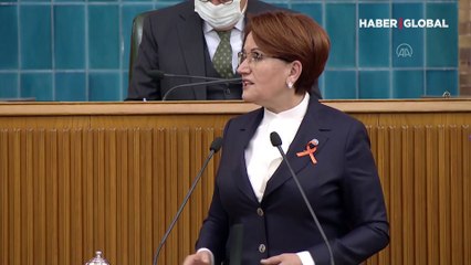 Meral Akşener: Herkes elini taşın altına koymak zorunda