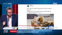 #Magnien, la chronique des réseaux sociaux : Les attentats de Vienne sur les réseaux sociaux - 03/11