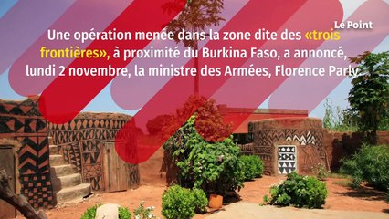 Mali : une cinquantaine de djihadistes abattus par l'armée française