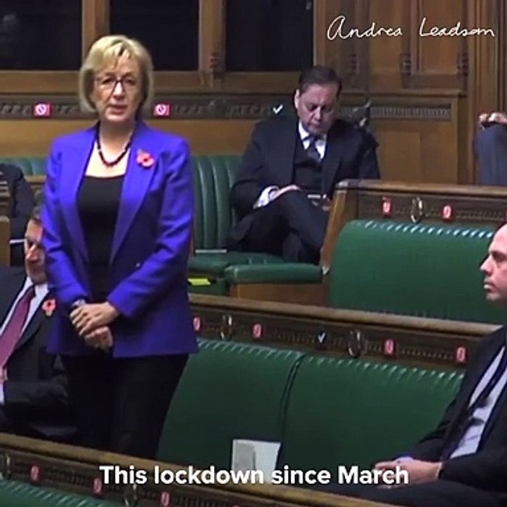 Andrea Leadsom on England's second lockdown
