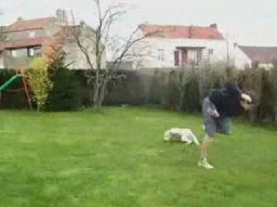 eric...prise de risque avec gamelles(wallflip)