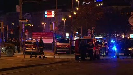 "En une demi-seconde, 15 à 20 coups de feu": un témoin de l'attaque de Vienne raconte