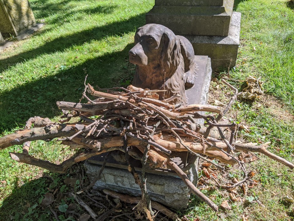 Des bâtons sont laissés sur la tombe d’un chien pour lui rendre hommage