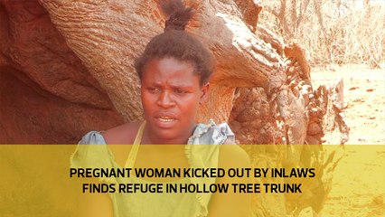 Pregnant woman kicked out by in-laws finds refuge in hollow tree trunk