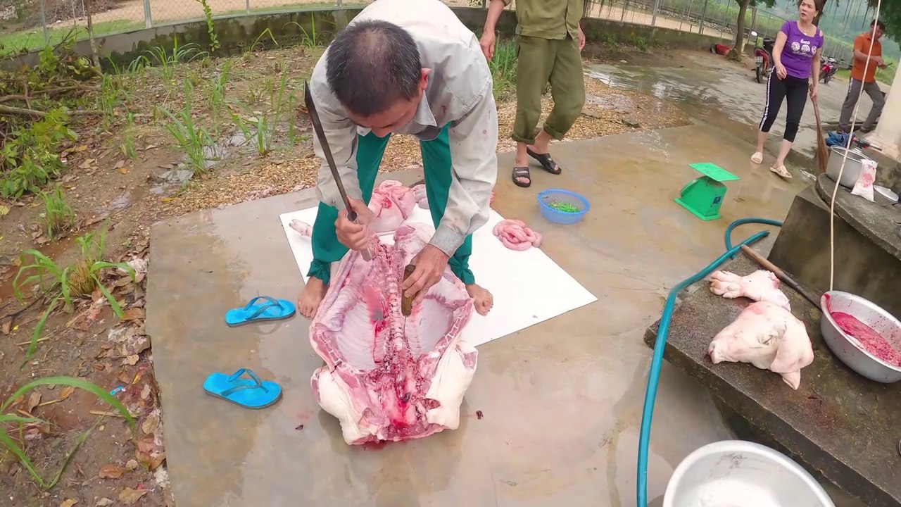 Làm thịt con lợn siêu nạc ở bản