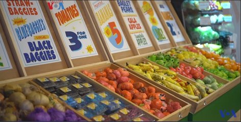 Toko Kantong Plastik,  Seni Instalasi Dukung Larangan Plastik di New York