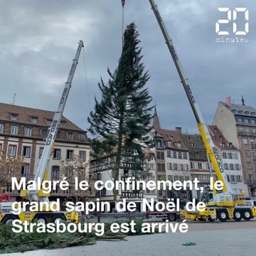 Strasbourg: Le traditionnel sapin de Noël installé, malgré le confinement