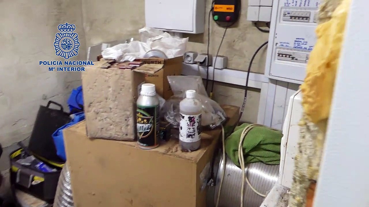 Descubierta una sofisticada plantación de marihuana bajo unas pistas de tenis en Morón