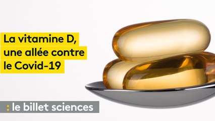 La vitamine D : notre alliée de l'hiver contre le Covid-19