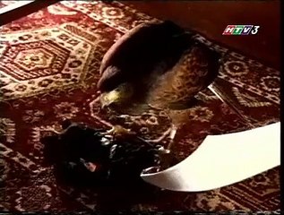 Những Cuộc Phiêu Lưu Của Sinbad - The Adventures Of Sinbad [Tập 28 B]