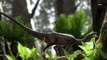 Scientists Reconstruct the Brain of 233 Million Year Old Dinosaur