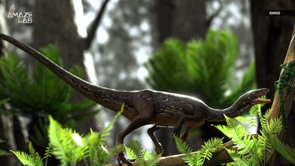 Scientists Reconstruct the Brain of 233 Million Year Old Dinosaur