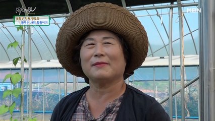 뜬구름 잡는 소리만 하는 사위가 야속한 억척 장모