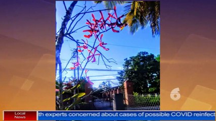 2 - Headlines with Fazeer