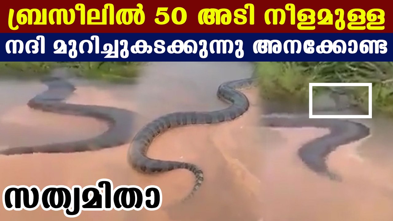 fifty feet long anaconda, truth behind viral video | Oneindia Malayalam