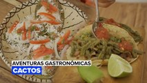 Aventuras Gastronômicas: Cactos