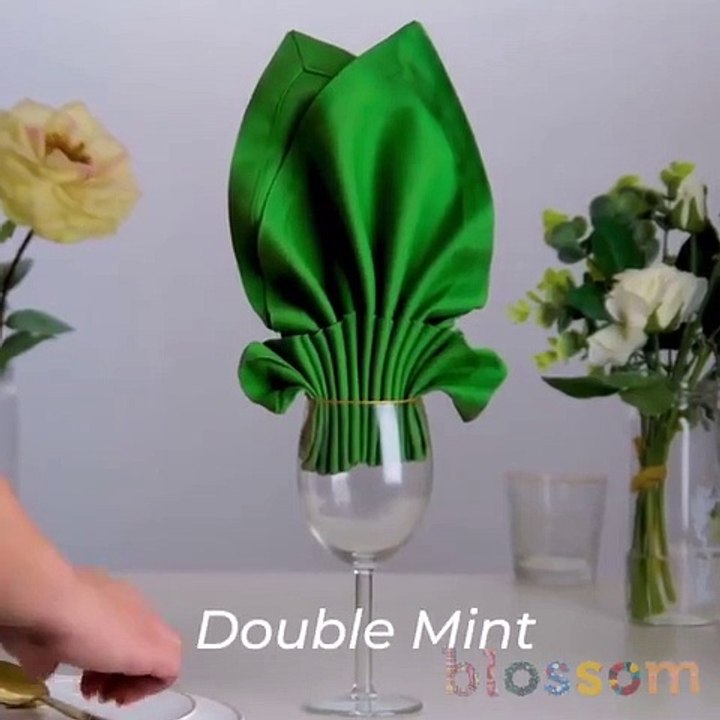 Do it YourSelf Videos 165
