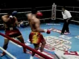 En mémoire d'Andy Hug - Vainqueur du K1 en 1995