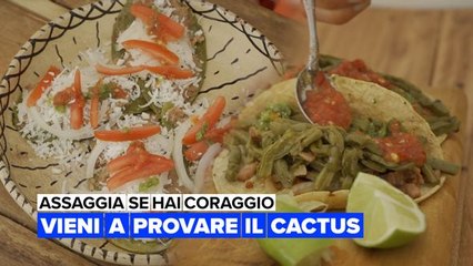 Assaggia se hai coraggio: cactus