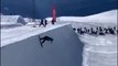 Quand la montagne réagit au trick d'un snowboardeur... Avalanche de joie