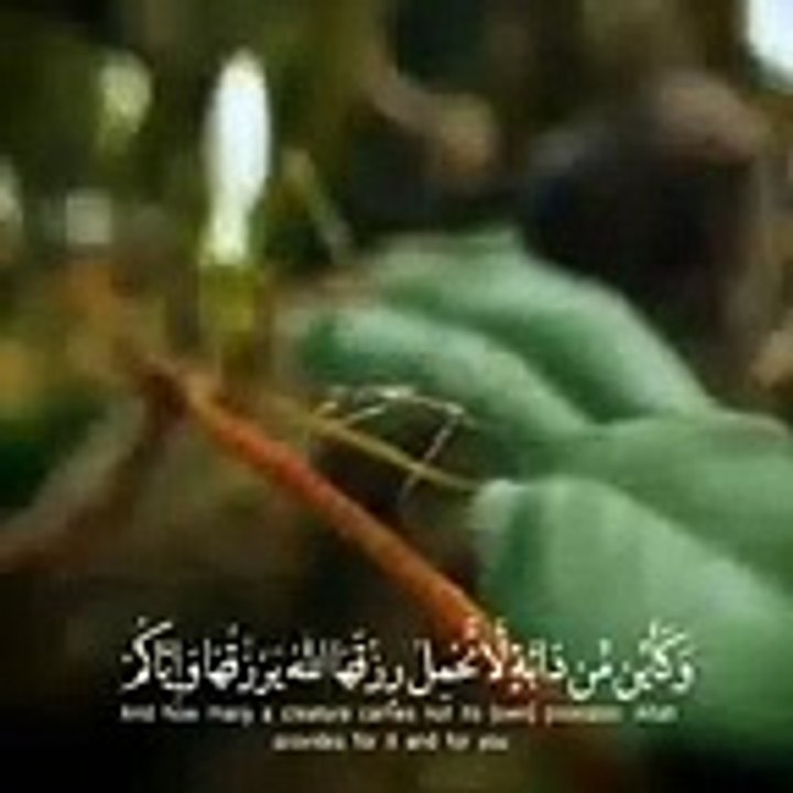 قرآن كريم بصوت القارئ عبد الرحمن مسعد _ حالات و...
