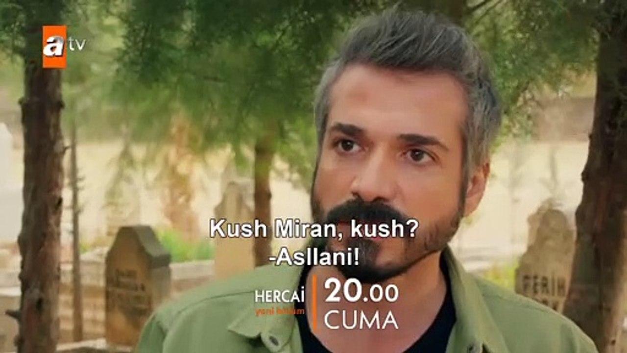 46promo