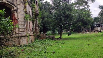 pakutia jomidar bari(পাকুটিয়া জমিদার বাড়ি)