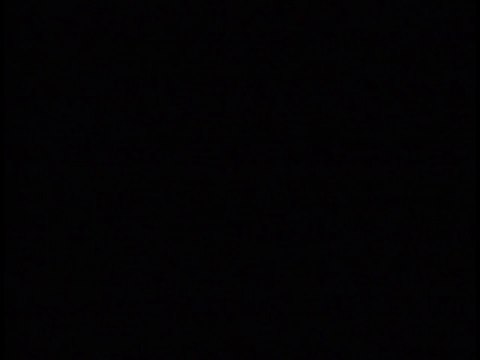 Shabba Ranks Let's Get It On Music Video