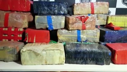 Denarc e PRF apreendem mais de uma tonelada de maconha no Bairro Brasília