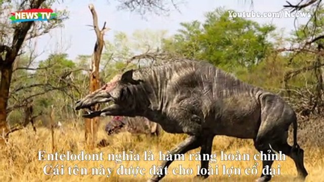 Truyền thuyết về ‘Lợn địa ngục’, quái vật có thực từng xuất hiện tại Bắc Mỹ