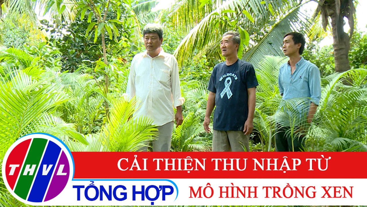 Nông thôn ngày nay: Cải thiện thu nhập từ mô hình trồng xen