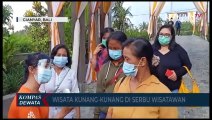 Romantisnya Wisata Kunang Kunang Di Pulau Bali